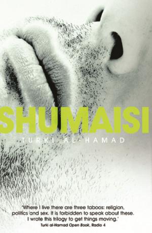 Cover of the book Shumaisi by David Hunt