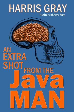 bigCover of the book An Extra Shot from the Java Man by 