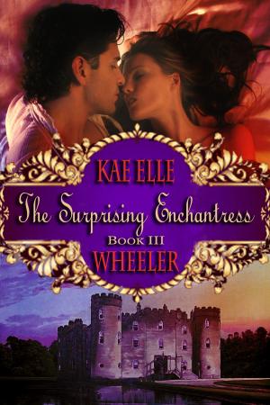 Cover of The Surprising Enchantress - book iii