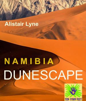 Cover of the book Namibia - Dunescape by Angelo Signorelli