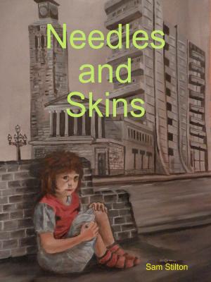 bigCover of the book Needles and Skins by 