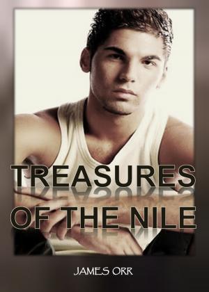 Cover of the book Treasures of the Nile by Timothy Duke