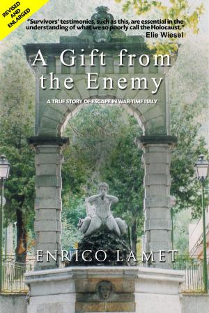 Cover of A Gift from The Enemy