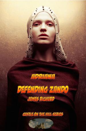 Cover of the book Defending Zando by Rico Lamoureux