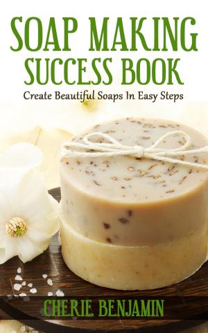 Cover of Soap Making Success Book