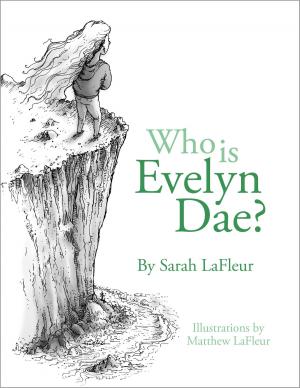 Cover of Who Is Evelyn Dae? Volume 1