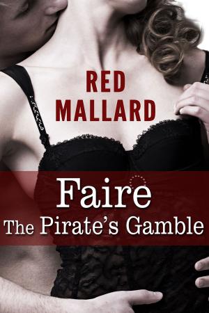 Cover of the book Faire: The Pirate's Gamble by Haley Gray