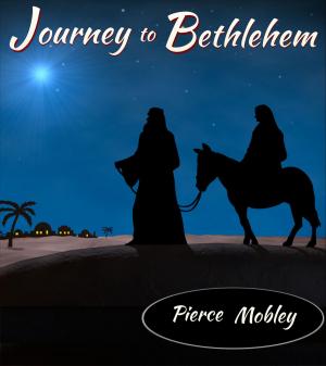 bigCover of the book Journey to Bethlehem by 