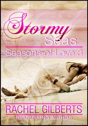 Cover of the book Stormy Seas: Seasons of Love 3 by M.G. Morgan