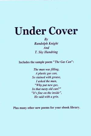 bigCover of the book Under Cover by 