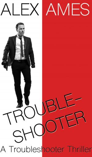 Cover of the book Troubleshooter by Jessica Eissfeldt