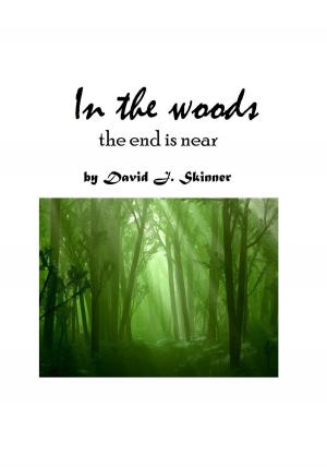 Cover of the book In the Woods by Weylan Tiankong