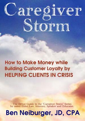Book cover of Caregiver Storm: How to Make Money While Building Customer Loyalty by Helping Clients in Crisis