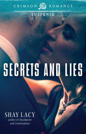 Cover of the book Secrets and Lies by Anne Metikosh