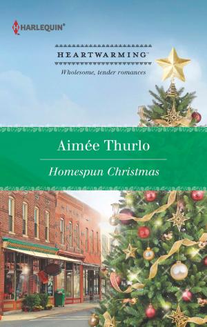 Cover of the book Homespun Christmas by Liz Kelly