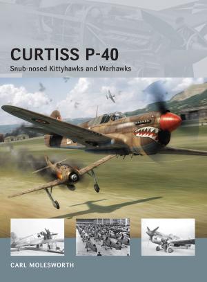 Cover of the book Curtiss P-40 by Michelle Huneven, Bernadette Murphy