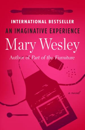 Cover of the book An Imaginative Experience by M. E. Kerr