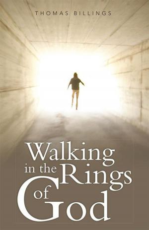 Cover of the book Walking in the Rings of God by Brett Heintzman