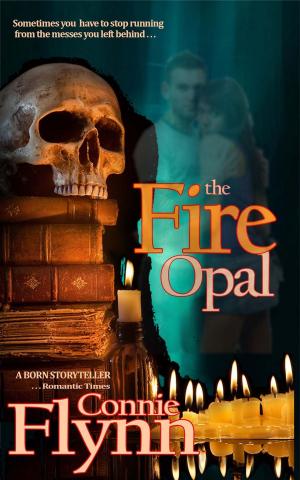 Cover of the book The Fire Opal by M.M. Shelley