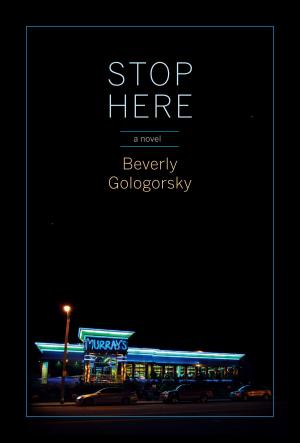 Cover of the book Stop Here by Aimee Allison, David Solnit