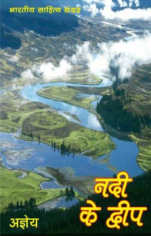 Cover of Nadi Ke Dweep (Hindi Novel)