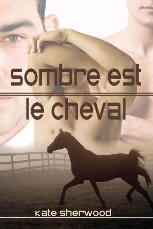 Cover of the book Sombre est le cheval by Jeff Erno