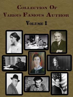 Cover of the book Collection Of Various Famous Authors Volume 1 by Various Author