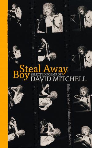 Cover of the book Steal Away Boy by Michael Belgrave