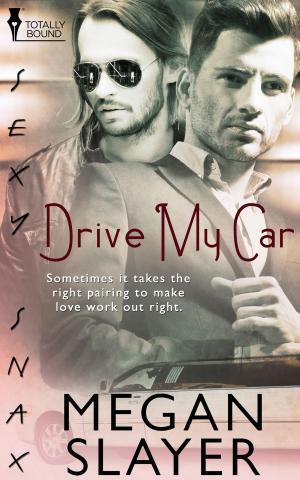 Cover of the book Drive My Car by Bebe Balocca
