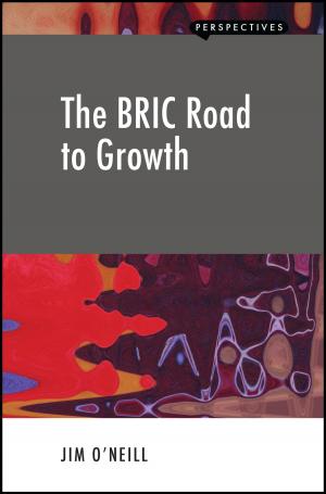 Book cover of The BRIC Road to Growth
