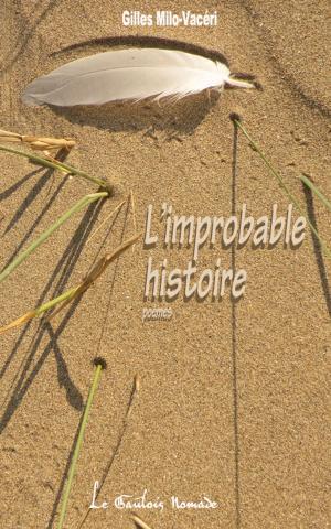 Cover of the book L'improbable histoire by Janet Elaine Blackwood