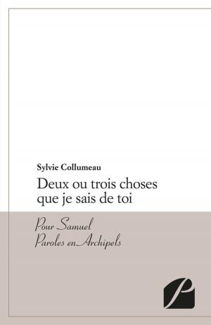Cover of the book Deux ou trois choses que je sais de toi by Said Benchekroun Belabbès