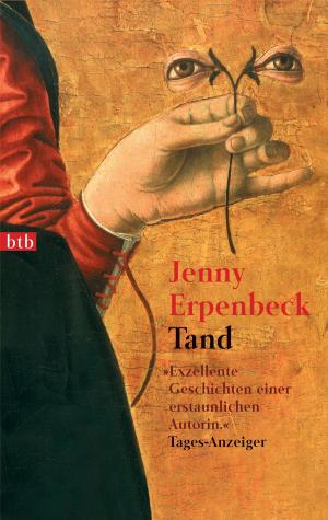 Cover of the book Tand by Walter Moers