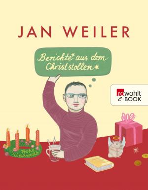 Cover of the book Berichte aus dem Christstollen by Nils Mohl