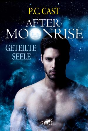 Cover of the book Geteilte Seele by Greg Brodeur, Scott Ciencin, Dave Galanter, Dan Jolley, Aaron Rosenberg