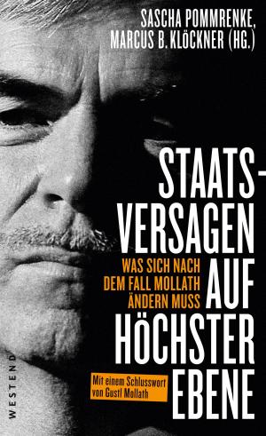Cover of the book Staatsversagen auf höchster Ebene by Dushan Wegner
