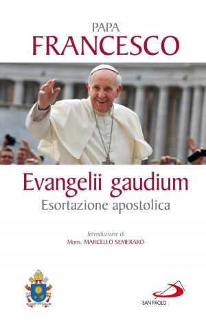 bigCover of the book Evangelii gaudium. Esortazione apostolica by 