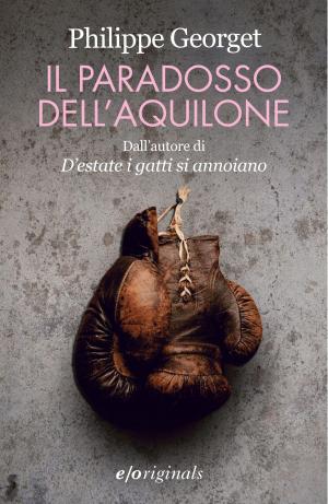 Cover of Il paradosso dell'aquilone