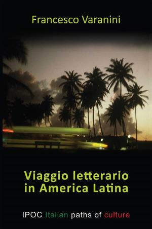 Book cover of Viaggio letterario in America Latina