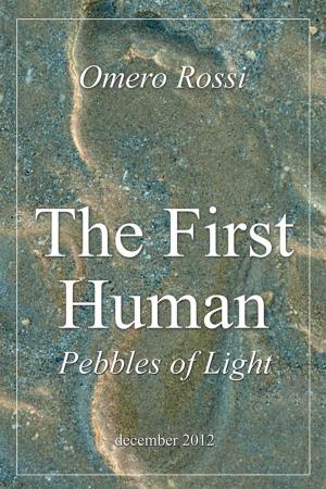 Cover of the book The first human : pebbles of light by San Louie