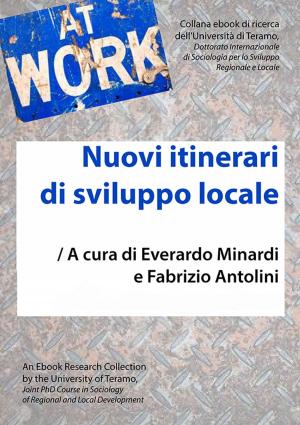 Book cover of Nuovi itinerari di sviluppo locale