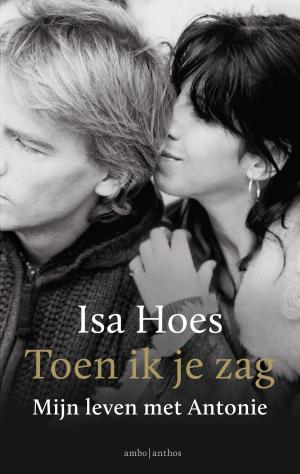 Cover of the book Toen ik je zag by Dawn Xu