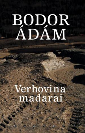 Cover of the book Verhovina madarai by Szabó T. Anna