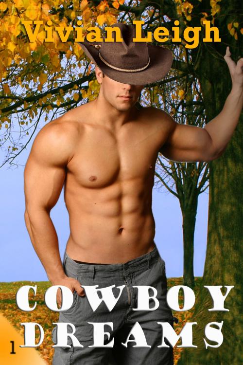 Cover of the book Cowboy Dreams by Vivian Leigh, Vivian Leigh