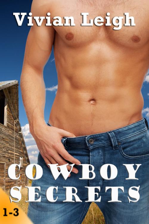 Cover of the book Cowboy Secrets by Vivian Leigh, Vivian Leigh