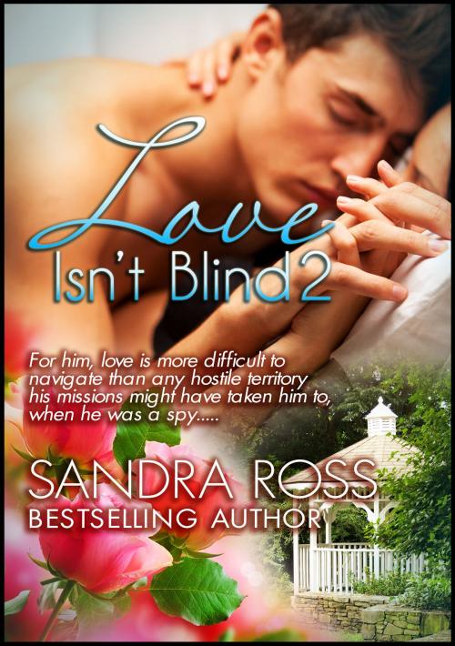 Cover of the book Love Isn't Blind 2 by Sandra Ross, Publications Circulations LLC