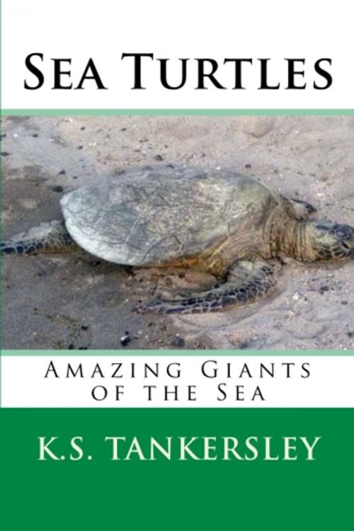 Cover of the book Sea Turtles by K.S. Tankersley, Ph.D., Little John Publishing
