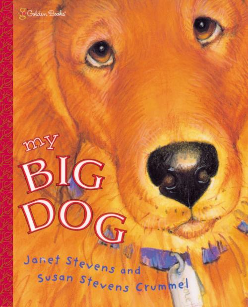 Cover of the book My Big Dog by Janet Stevens, Susan Stevens Crummel, Random House Children's Books