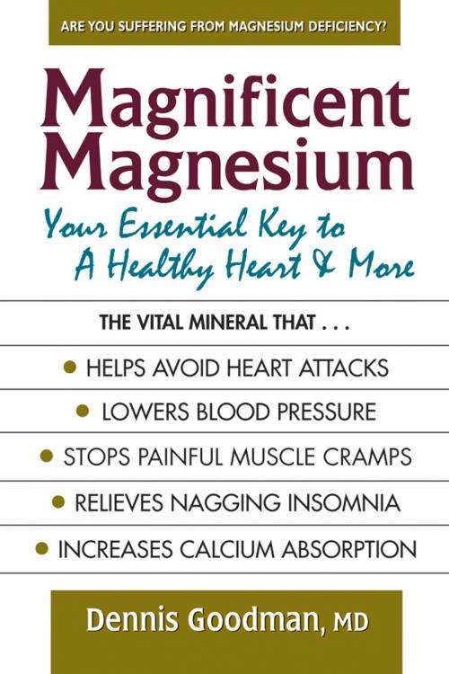 Cover of the book Magnificent Magnesium by Dennis Goodman, MD, Square One Publishers