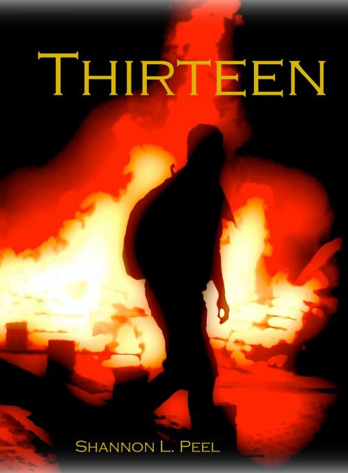 Cover of the book Thirteen by Shannon Peel, Shannon L. Peel